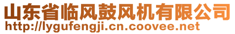 山東省臨風(fēng)鼓風(fēng)機(jī)有限公司