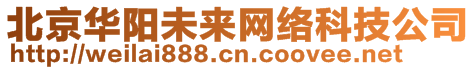 北京華陽(yáng)未來(lái)網(wǎng)絡(luò)科技有限公司