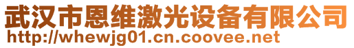 武漢市恩維激光設備有限公司
