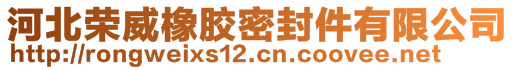 河北荣威橡胶密封件有限公司