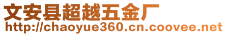 文安县超越五金厂