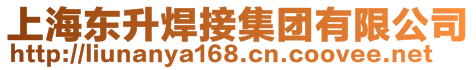 上海東升焊接集團(tuán)有限公司