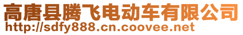 高唐縣騰飛電動車有限公司