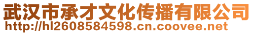 武漢市承才文化傳播有限公司