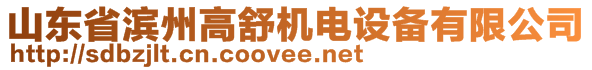 山東省濱州高舒機(jī)電設(shè)備有限公司