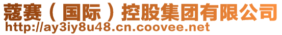 蔻賽（國(guó)際）控股集團(tuán)有限公司