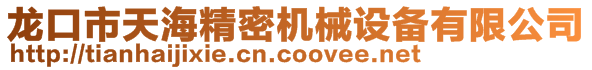 龍口市天海精密機械設備有限公司