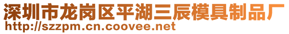 深圳市龍崗區(qū)平湖三辰模具制品廠