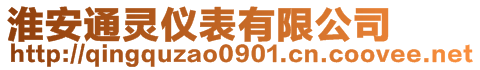 淮安通靈儀表有限公司