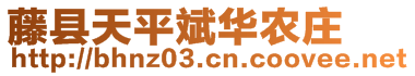 藤縣盛林農業(yè)有限公司