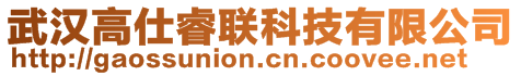 武漢高仕睿聯(lián)科技有限公司