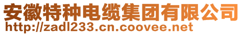 安徽特種電纜集團(tuán)有限公司