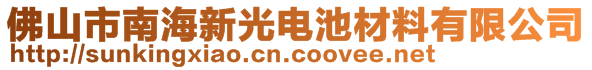 佛山市南海新光电池材料有限公司