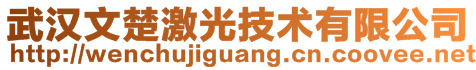 武汉文楚激光技术有限公司