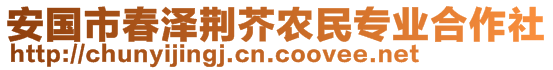 安國市春澤荊芥農(nóng)民專業(yè)合作社