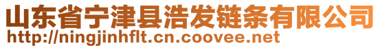 山東省寧津縣浩發(fā)鏈條有限公司