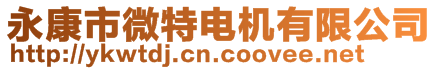 永康市微特電機有限公司