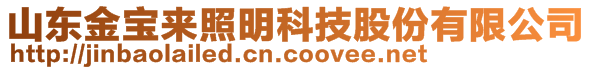 山東金寶來照明科技股份有限公司