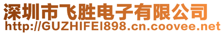 深圳市飛勝電子有限公司