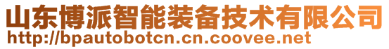山東博派智能裝備技術(shù)有限公司