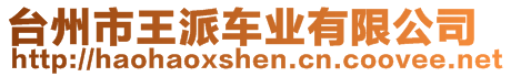 臺州市王派車業(yè)有限公司