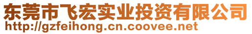 東莞市飛宏實業投資有限公司