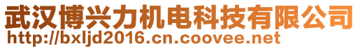 武漢博興力機電科技有限公司