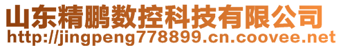 山東精鵬數(shù)控科技有限公司