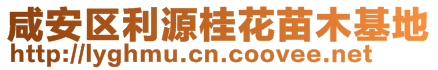 咸安區(qū)利源桂花苗木基地