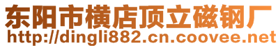 東陽(yáng)市橫店頂立磁鋼廠