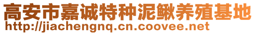 高安市嘉誠特種泥鰍養(yǎng)殖基地