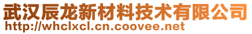 武汉辰龙新材料技术有限公司