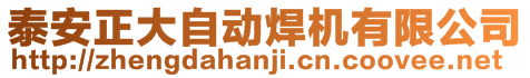 泰安正大自動(dòng)焊機(jī)有限公司