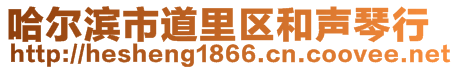 哈爾濱市道里區(qū)和聲琴行