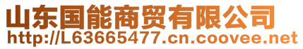 山東國(guó)能商貿(mào)有限公司