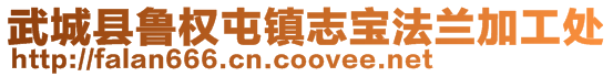 武城縣魯權屯鎮志寶法蘭加工處