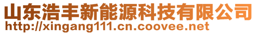 山东浩丰新能源科技有限公司