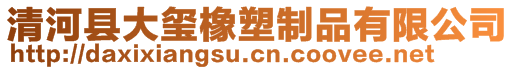 清河县大玺橡塑制品有限公司