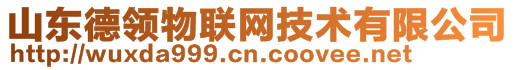 山東德領(lǐng)物聯(lián)網(wǎng)技術(shù)有限公司