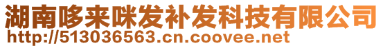 湖南哆來咪發(fā)補(bǔ)發(fā)科技有限公司