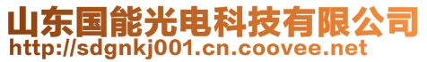 山東國能光電科技有限公司