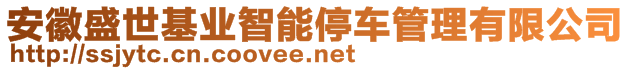安徽盛世基業(yè)智能停車管理有限公司
