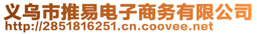 義烏市推易電子商務有限公司