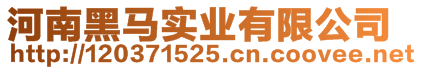 河南黑馬實(shí)業(yè)有限公司