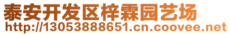 泰安開發(fā)區(qū)梓霖園藝場