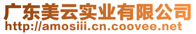 廣東美云實(shí)業(yè)有限公司