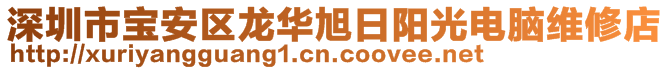 深圳市寶安區(qū)龍華旭日陽光電腦維修店