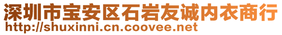 深圳市宝安区石岩友诚内衣商行