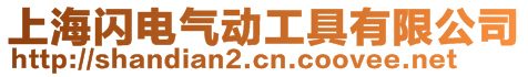 上海閃電氣動(dòng)工具有限公司