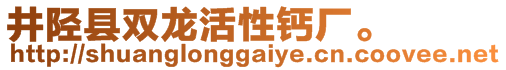 井陉县双龙活性钙厂。